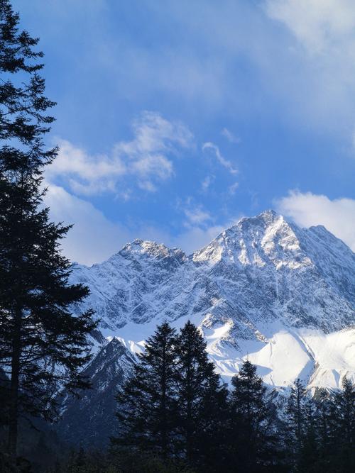 黑帽新闻站群3.0